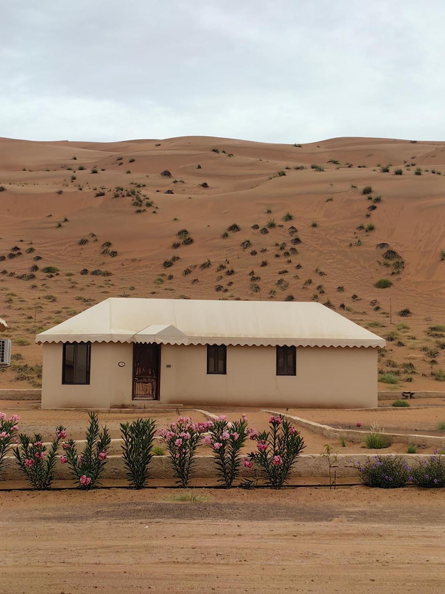 Desert Rose Camp Badīyah Zewnętrze zdjęcie